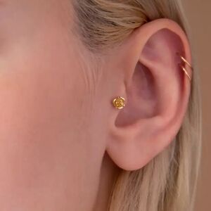 Rose Internally Threaded Labret